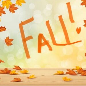 Fall clear out sale! Prices are falling, make me an offer!